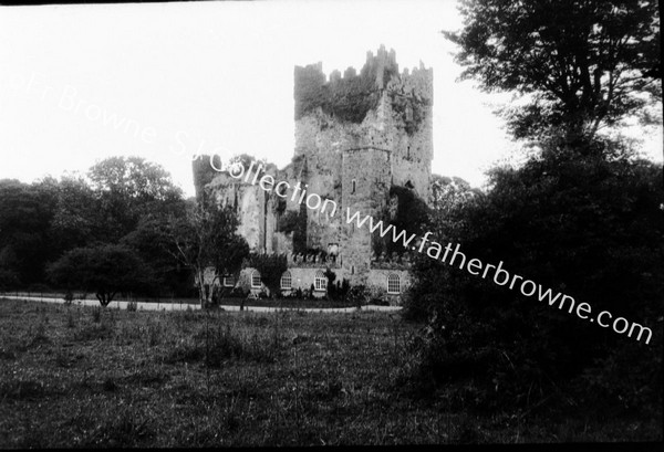 TINTERN ABBEY TOWER & CHANCEL FROM N.W.